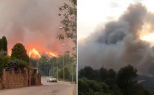 U Španiji preko 40 stepeni: Zemlju pustoše šumski požari 