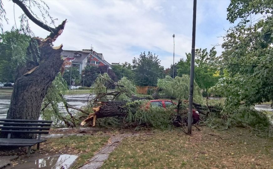 Nevrijeme pogodilo Novi Sad, vjetar obarao drveće