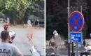 Nag muškarac šetao ulicama Sarajeva i uznemirio građane