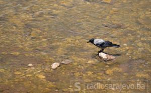 Vreli dani pred nama - stiže 40 stepeni! Pogledajte prognozu do srijede