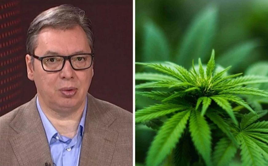 "Dok je Vučić predsjednik Srbije marihuana neće biti legalizovana"
