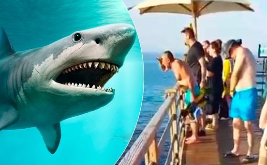 Svjedok opisao stravičan napad morskog psa u Hurghadi: 'Turisti se boje ući u more'