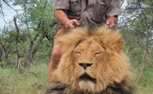 Ubijen lovac na "trofeje", koji je lovio lavove, slonove, žirafe...