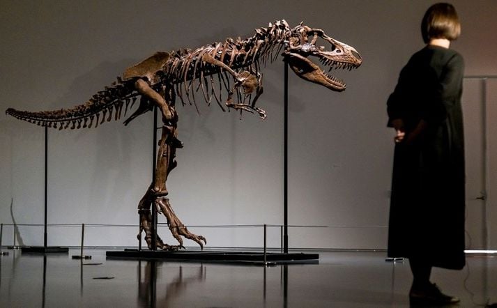 Kostur gorgosaurusa ide na aukciju, mogao bi postići cijenu od 8 miliona dolara