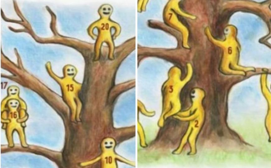 Psiho-emotivni test: Gdje ste vi na ovom drvetu, a gdje biste željeli biti?