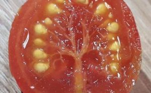 Obična slika paradajza na Facebooku pokrenula raspravu: Hiljade ljudi se pita - drvo ili zubi?