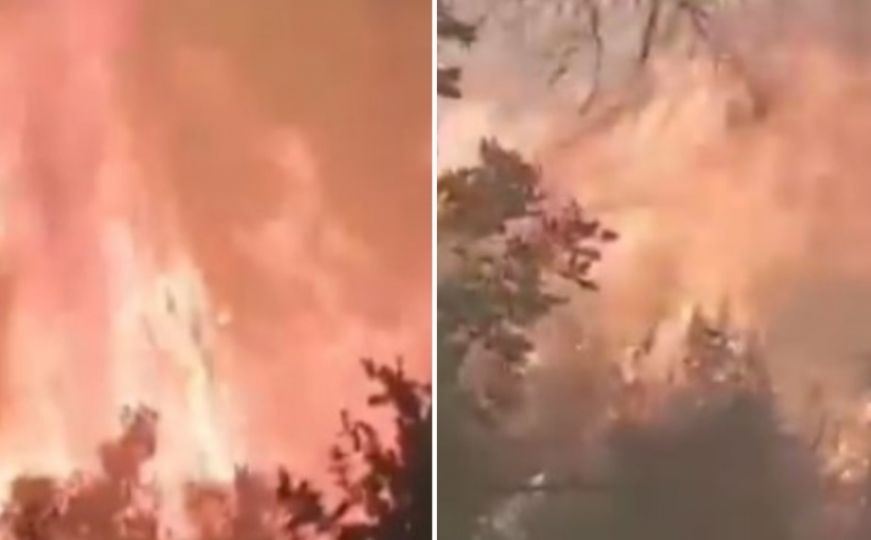 Hrvatski vatrogasci objavili video: Vatra "guta" sve pred sobom