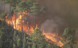 Srušio se kanader u Portugalu, pilot poginuo
