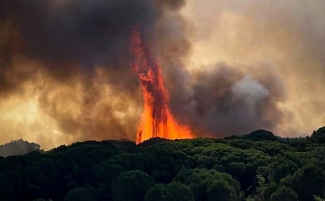 Drama u talijanskom odmaralištu: Turisti bježali od šumskog požara