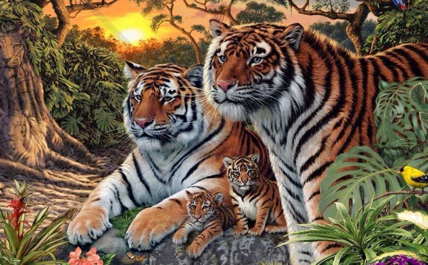 Ne, nisu samo četiri tigra na fotografiji - pronađite ostale!