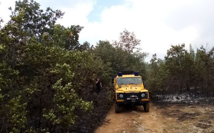 Drama kod Trebinja: Vatrogasci spriječili prodor vatre prema solarnoj elektrani Zupci