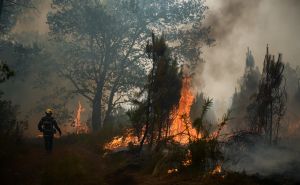Francuska: Zbog požara evakuirano još 14.900 ljudi