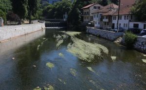 Novo izdanje gradske rijeke: Zabrinjavajuće nizak vodostaj Miljacke