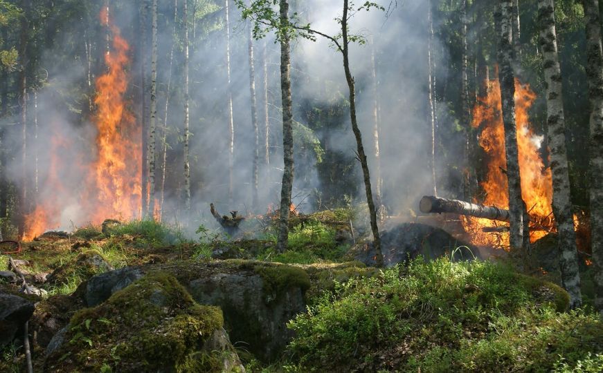 Slučaj iz Konjica: 79-godišnja žena zapalila otpad i uzrokovala šumski požar