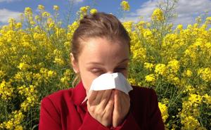 Evidentno povećanje polena trava i korova u zraku: Građanima izdate preporuke