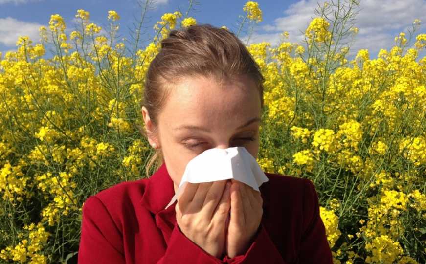 Evidentno povećanje polena trava i korova u zraku: Građanima izdate preporuke