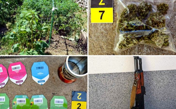 Akcija FUP-a u Mostaru: U dvorištu uzgajao marihuanu, u kući mu pronađene sjemenke i oružje