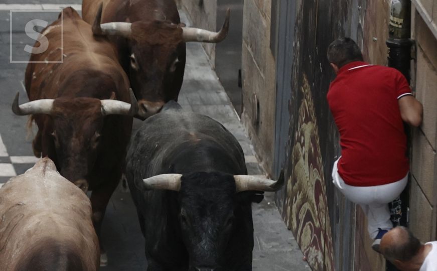 Uznemirujući snimak: Tri osobe poginule u borbi sa bikovima u Španiji