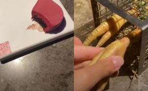 Žena snimala jela iz restorana s Michelinovom zvjezdicom, ljudi u šoku: ‘Neka, hvala, jest ću kući'