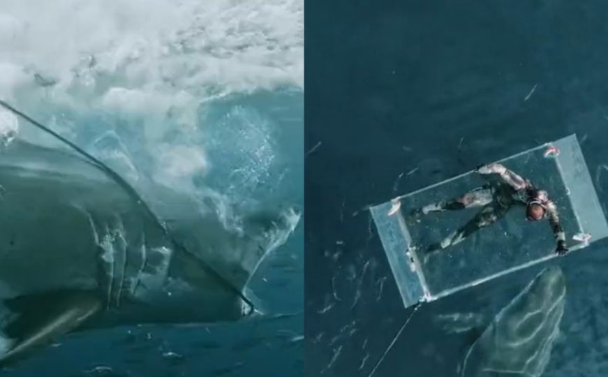 Prizor kao iz horor filma: Iskusni ronilac za dlaku izbjegao smrt, napala ga velika bijela ajkula