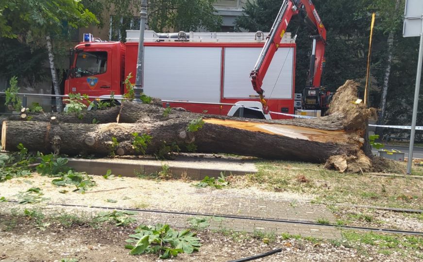Drama u Zagrebu: Drvo palo na ženu na tramvajskoj stanici, spašavali je vatrogasci