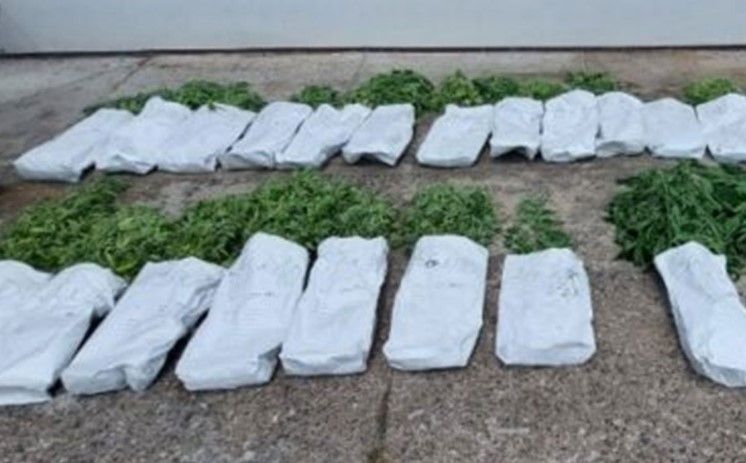 Akcija "Korov" u Brčkom: Otkrivena droga vrijedna pola miliona maraka