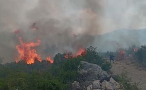 Veliki požar u Neumu, svi vatrogasci na terenu: "Apokalipsa, neka nam je bog na pomoći"