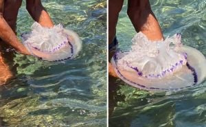 U Puli snimila ogromnu meduzu: 'Pobjegla sam van iz vode, nije mi bilo svejedno'