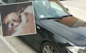 Muškarac izgubio psa. Za njegov pronalazak nudi BMW: "Djeca su ljuta na mene, dao bih i život"