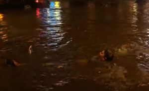 Hit video iz Novog Sada: Ulice poplavile, muškarac počeo plivati