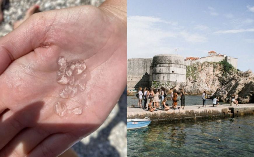 Kupači u moru od Dubrovnika do Pelješca primijetili neobičnu pojavu: "Kao da plivate u želatini"