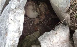 Uništena nekropola na Visočici, vide se kosti i lobanje: Takvo stanje godinama, građani uznemireni