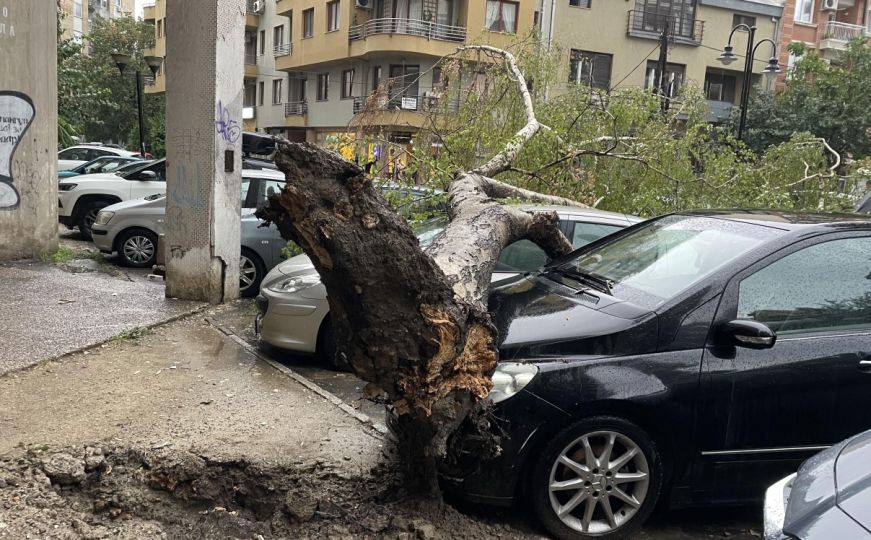 Nevrijeme u Skoplju: Poplavljene ulice, jak vjetar obarao drveće