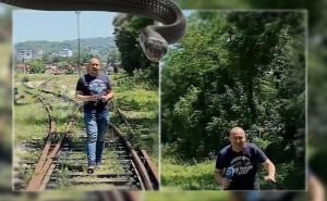 Bh. novinar snimao prilog, kada ga je prekinuo neželjen gost: "Enese, eto ti zmije"