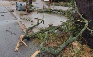 Pogledajte štetu nakon pijavice u blizini Dubrovnika: "Prestrašno"