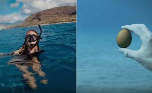 Šta se dogodi kad se jaje razbije na dnu mora: Ovaj eksperiment je već vidjelo 56 miliona ljudi