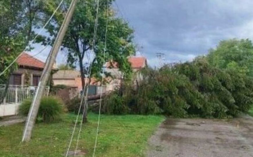 Snažno nevrijeme pogodilo i Srbiju: Drveće porušeno, vjetar nosi sve pred sobom