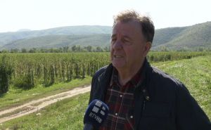 Posla ima, ali radnika nema: "Na birou je 3600 ljudi, ali ovo niko neće da radi"