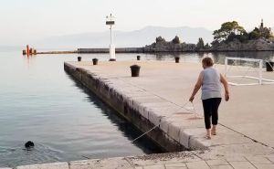 Hit fotografija za kraj ljeta: Pogledajte kako se šeće morski pas