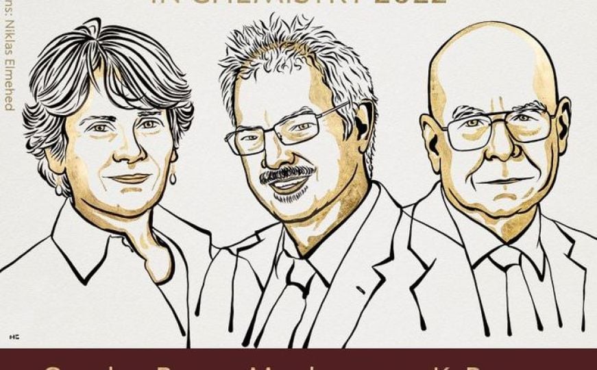 Nobelovu nagradu za hemiju dobilo troje naučnika, evo za koja postignuća