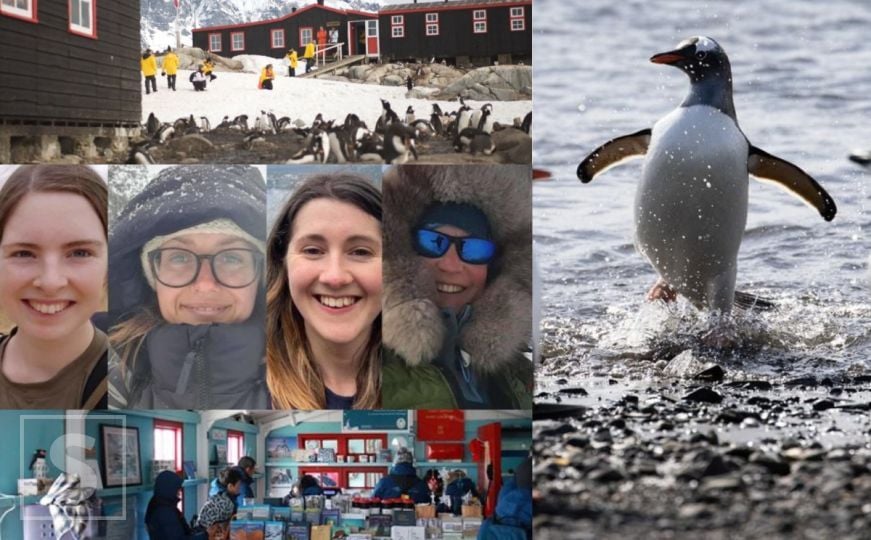 Zanimljiva priča sa Antarktika: Četiri žene odabrane da vode poštu i broje pingvine