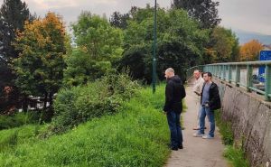 Pojavile se zmije na Ciglanama i Koševu: Imaju li građani razloga za brigu?