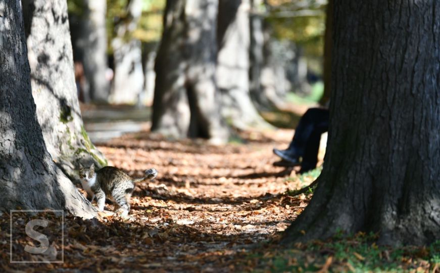 Danas sunce i temperature do 25 stepeni! Meteorolozi objavili i kad nam stiže naoblačenje