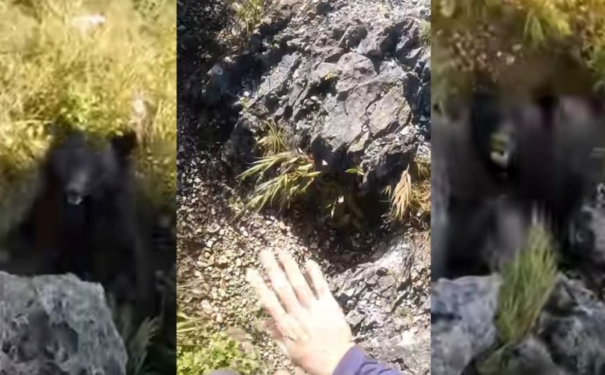 Pogledajte napad medvjeda na planinara u Japanu: Nevjerovatno je kako se odbranio