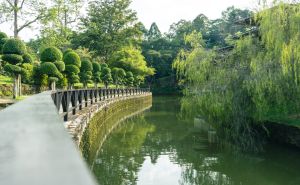 Ljepota botaničkog vrta Perdana u Maleziji oduzima dah
