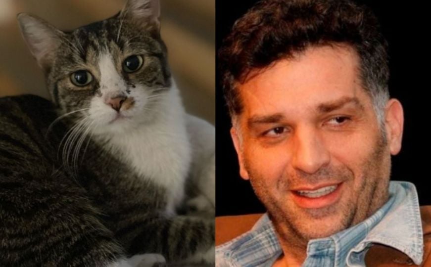 Danis Tanović saopštio lijepe vijesti: Vratio se mačak Kimi kojeg je tražio