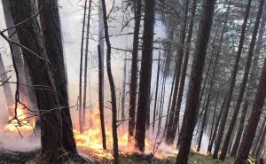 Bijesni požar kod Gornjeg Vakufa-Uskoplja: Vatra danima guta borovu šumu