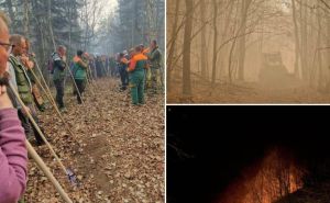Ekološka katastrofa: Prve procjene koliko je stradalo drvne mase u požaru u Gornjem Vakufu-Uskoplju