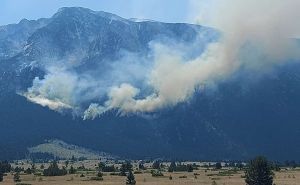 Katastrofalne posljedice: Šteta od šumskog požara na Blidinju procijenjena na više od milion maraka