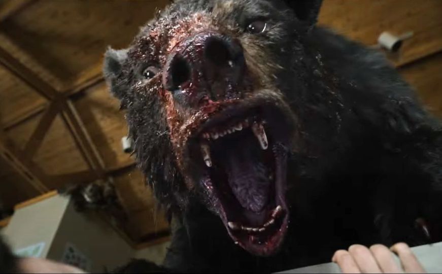 Snimljen po istinitom događaju: Pogledajte trailer za film o medvjedu koji je pojeo - kokain